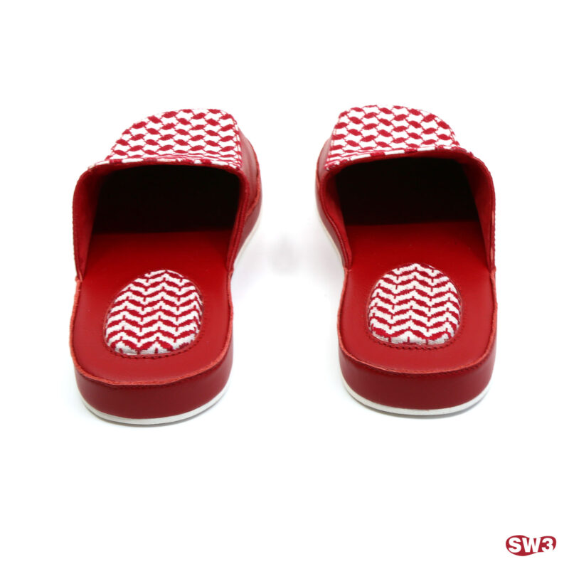 Slide SW3 S065