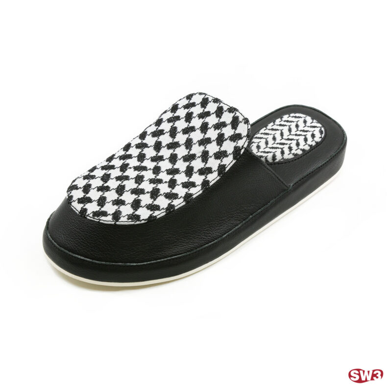 Slide SW3 S077