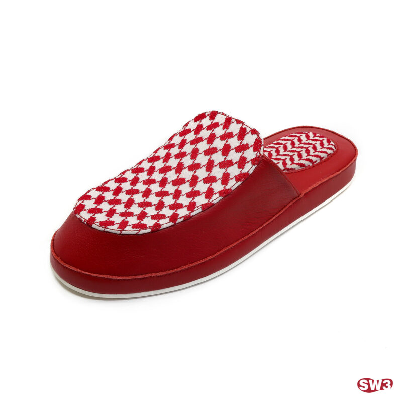 Slide SW3 S001